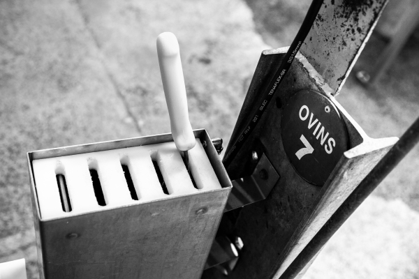 2014 02 19 Abattoir LuxeuilIMG 8709